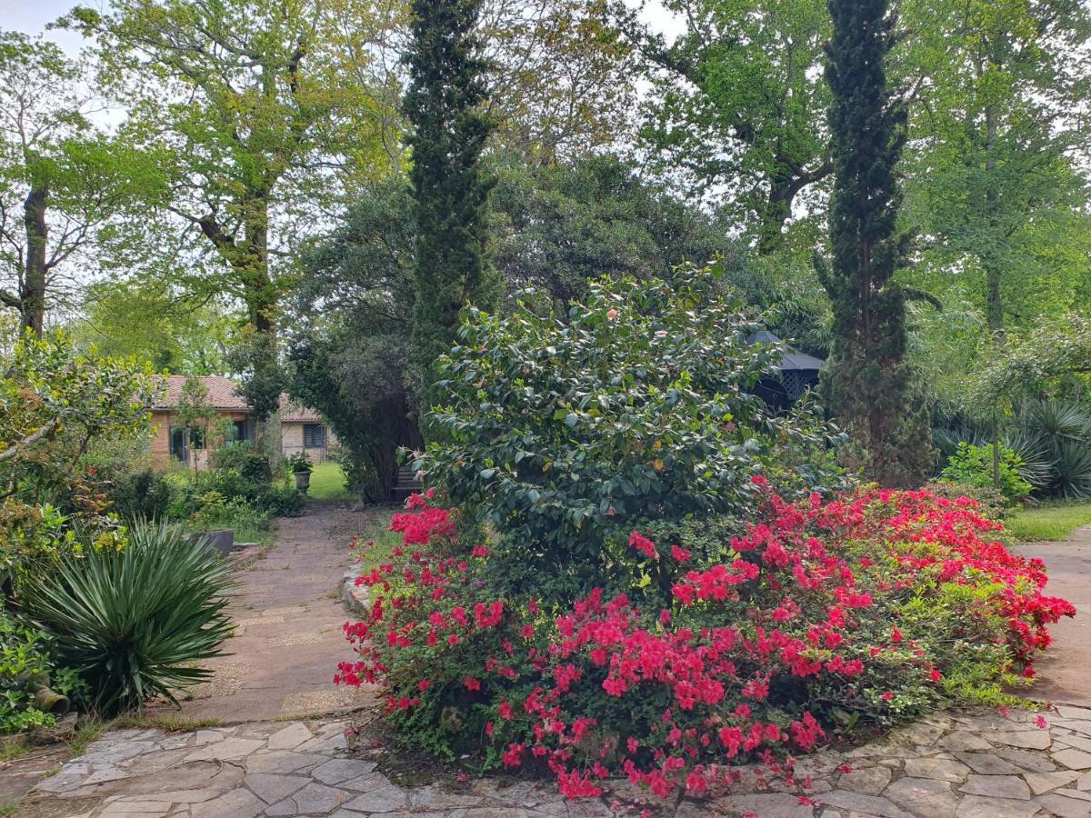 Manoir De Tireveste Lesperon Kültér fotó
